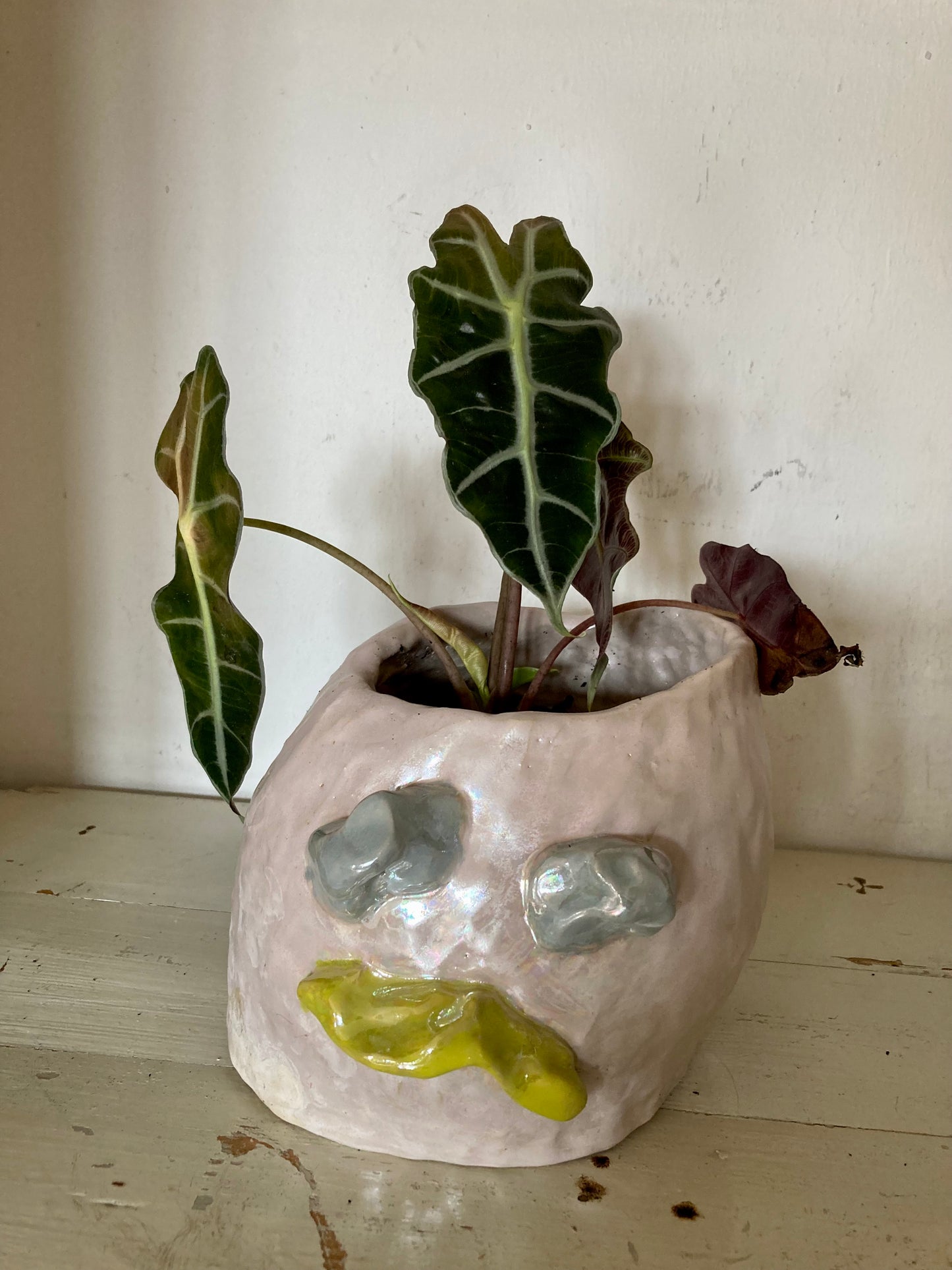 Face Vase: Moody